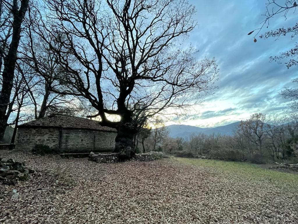 Casa Rural " El Retiro" لاسبونا المظهر الخارجي الصورة