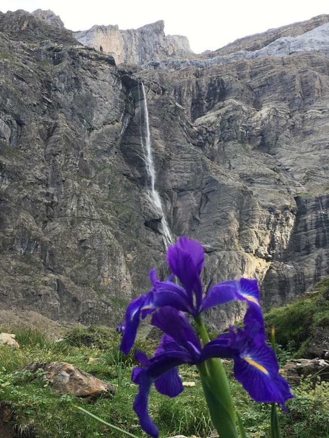 Casa Rural " El Retiro" لاسبونا المظهر الخارجي الصورة